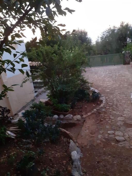 A Modern Farmhouse With Big Garden Trapeza  Ngoại thất bức ảnh