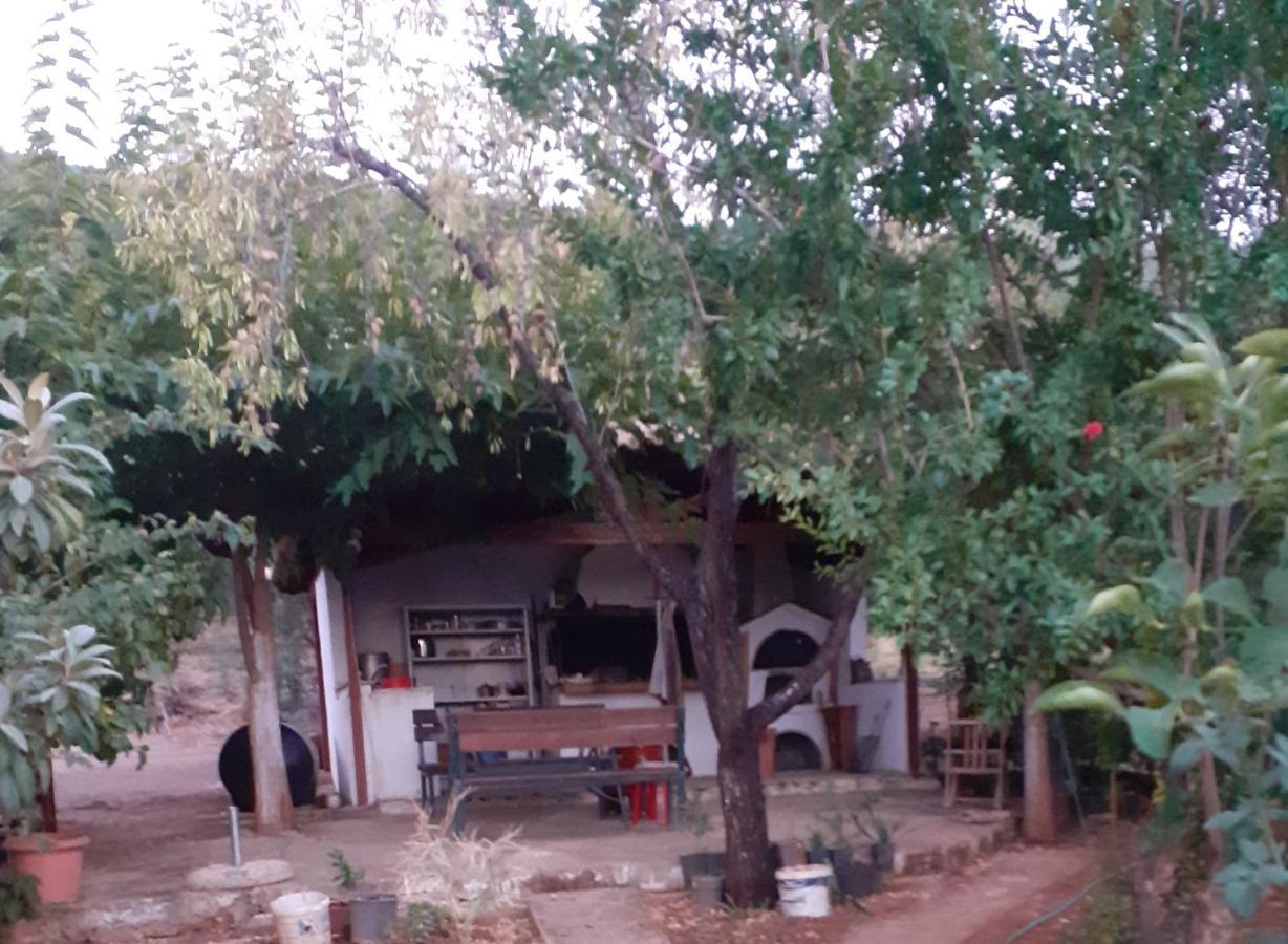 A Modern Farmhouse With Big Garden Trapeza  Ngoại thất bức ảnh