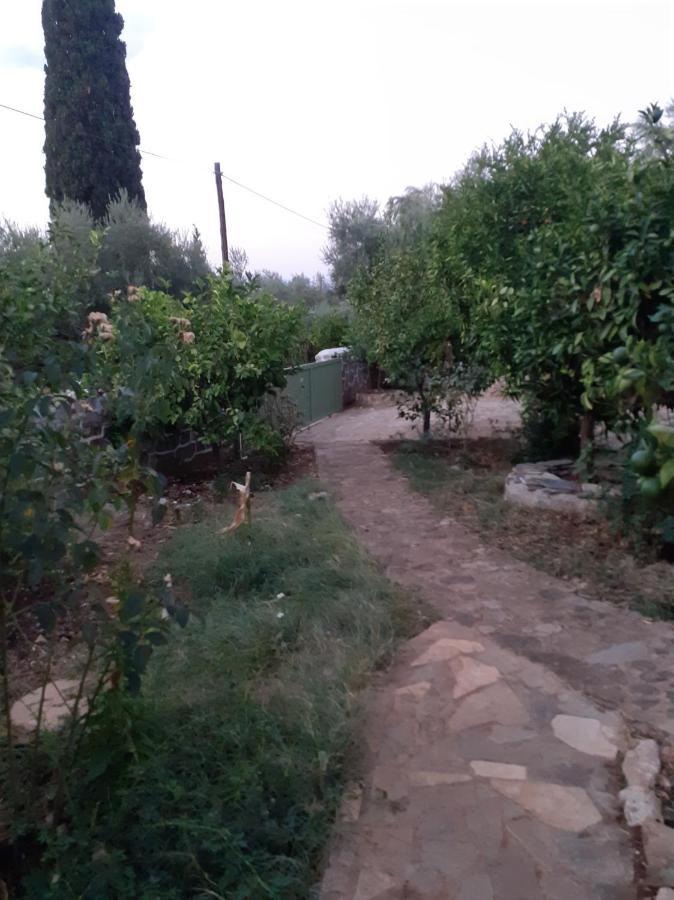 A Modern Farmhouse With Big Garden Trapeza  Ngoại thất bức ảnh