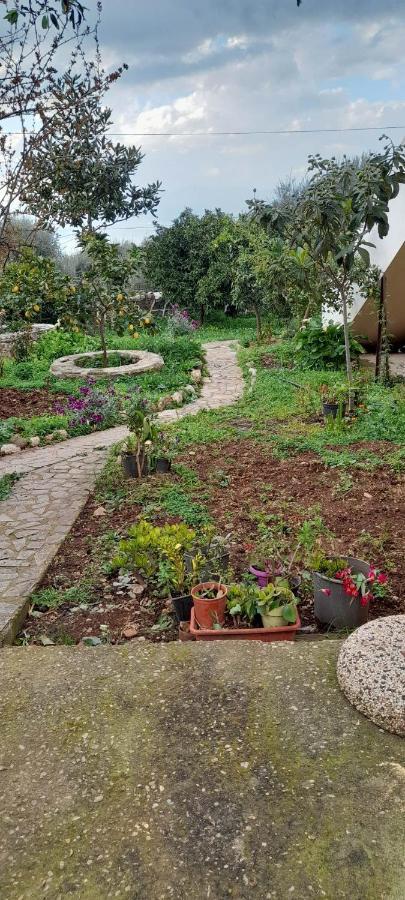 A Modern Farmhouse With Big Garden Trapeza  Ngoại thất bức ảnh