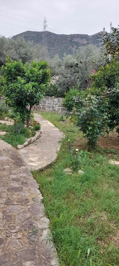 A Modern Farmhouse With Big Garden Trapeza  Ngoại thất bức ảnh